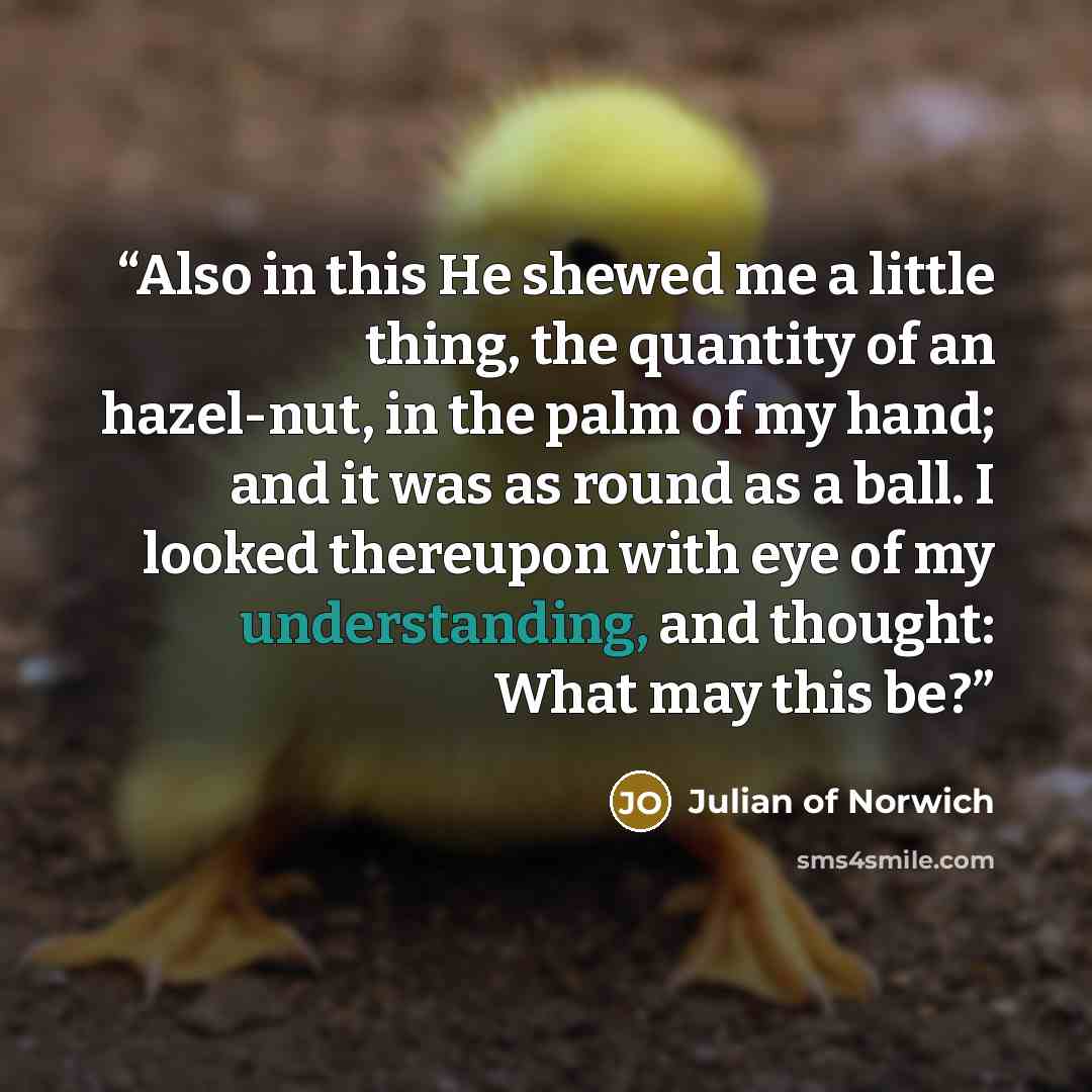 “Also in this He shewed me a little thing, the quantity of an hazel-nut, in the palm of my hand; and it was as round as a ball. I looked thereupon with eye of my understanding, and thought: What may this be?” quote by Julian of Norwich