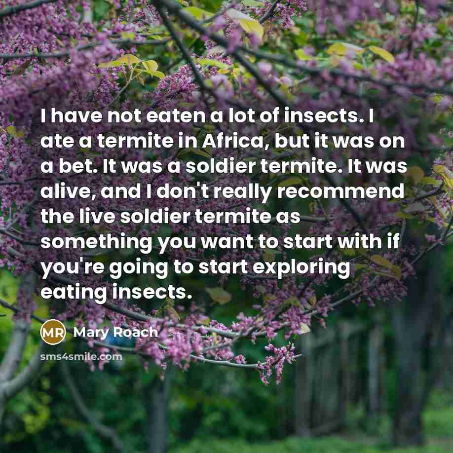“I have not eaten a lot of insects. I ate…” quote by Mary Roach