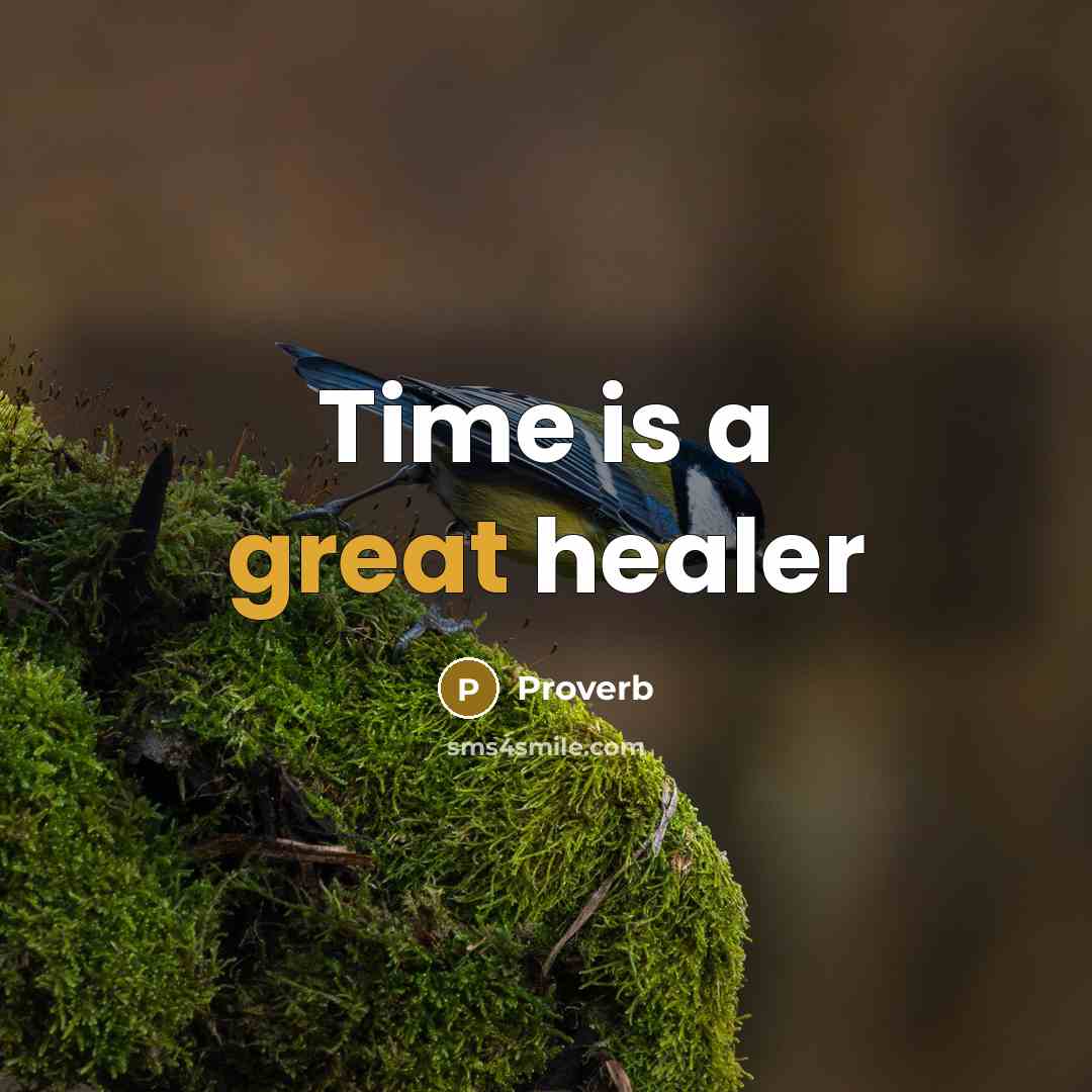 “Time is a great healer” quote by Proverb