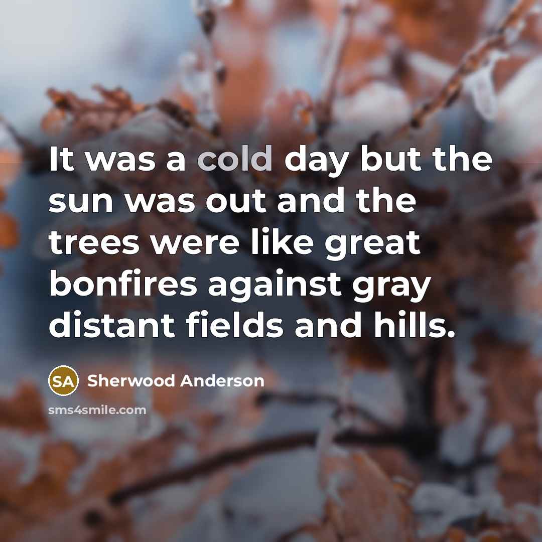 “It was a cold day but the sun was out…” quote by Sherwood Anderson