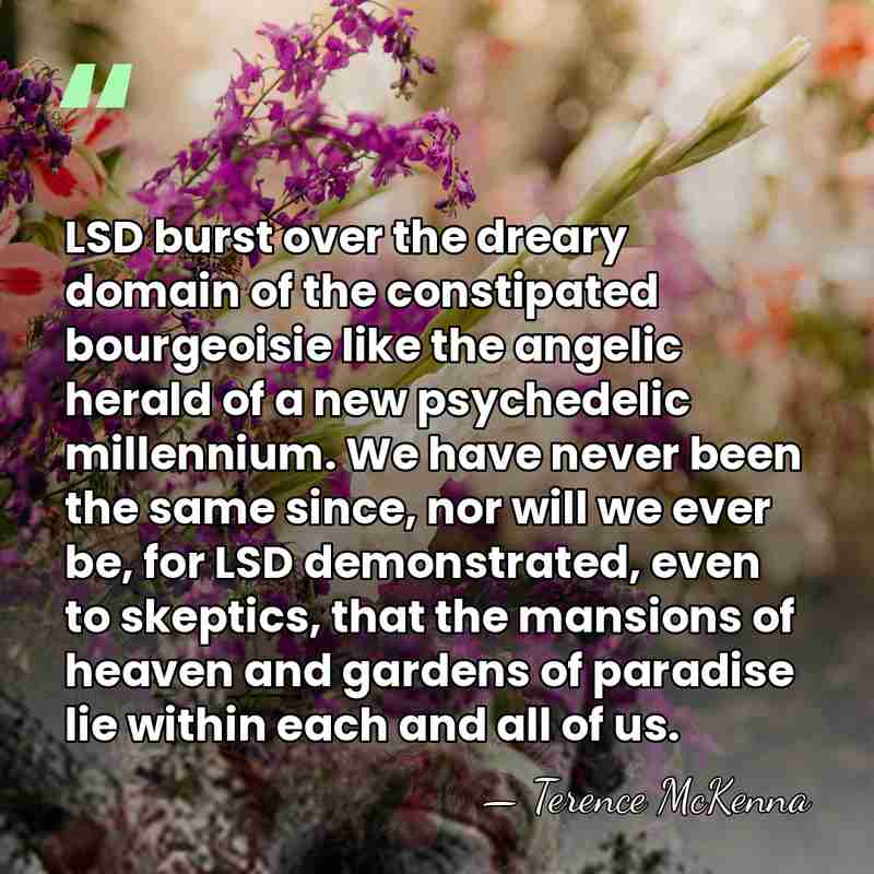 LSD burst over the dreary domain of the constipated bourgeoisie like the&hellip; - Terence McKenna