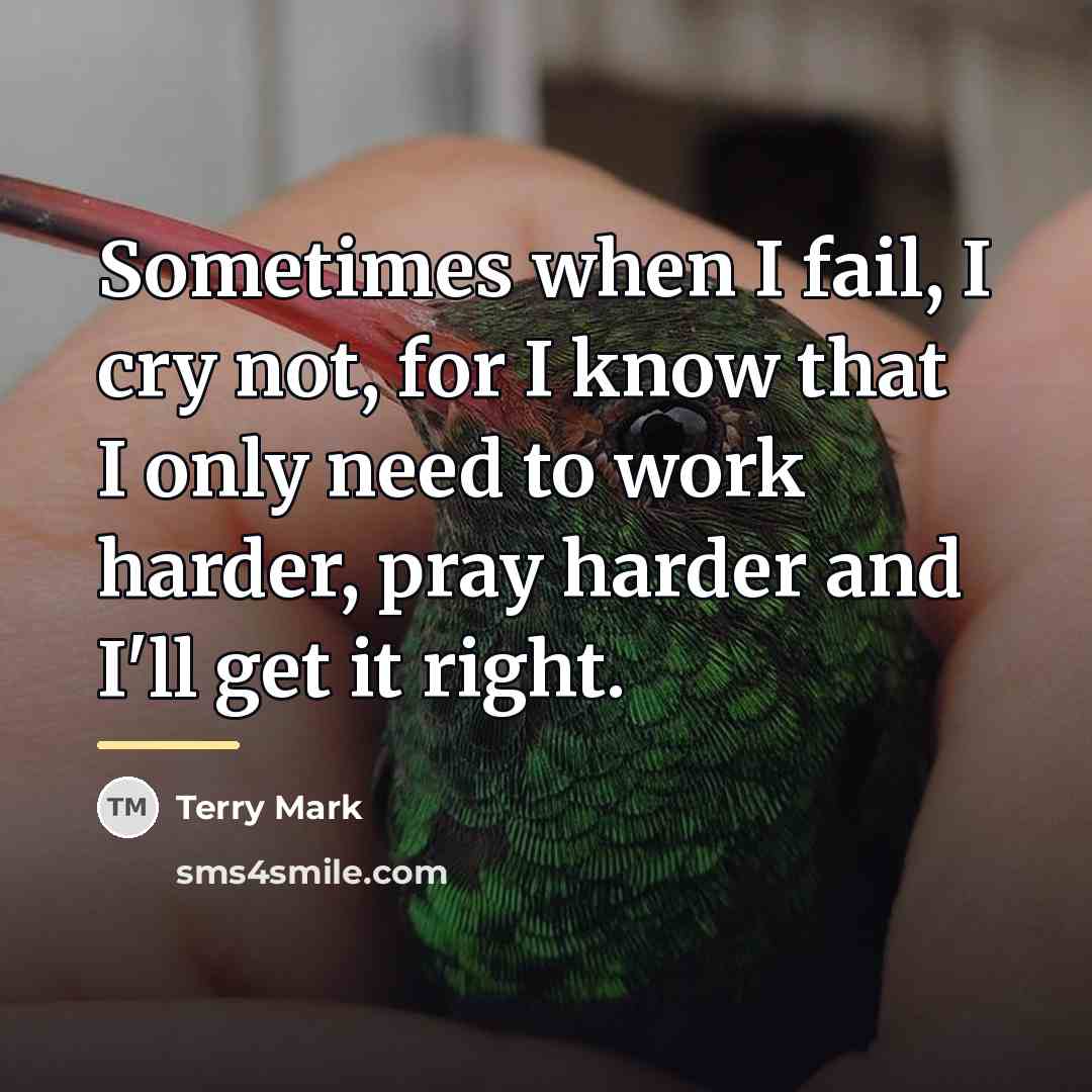 “Sometimes when I fail, I cry not, for I know…” quote by Terry Mark