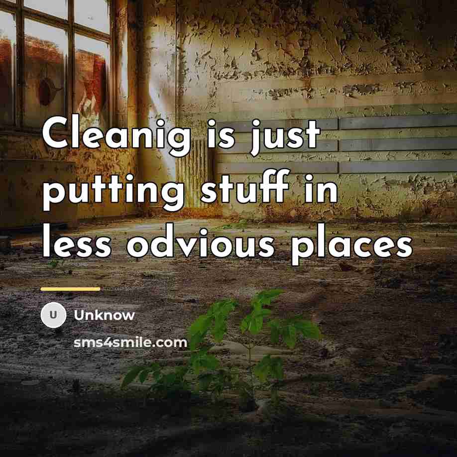 “Cleanig is just putting stuff in less odvious places…” quote by Unknow