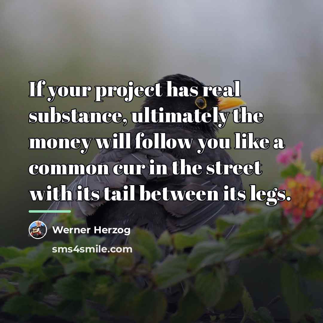 “If your project has real substance, ultimately the money will…” quote by Werner Herzog