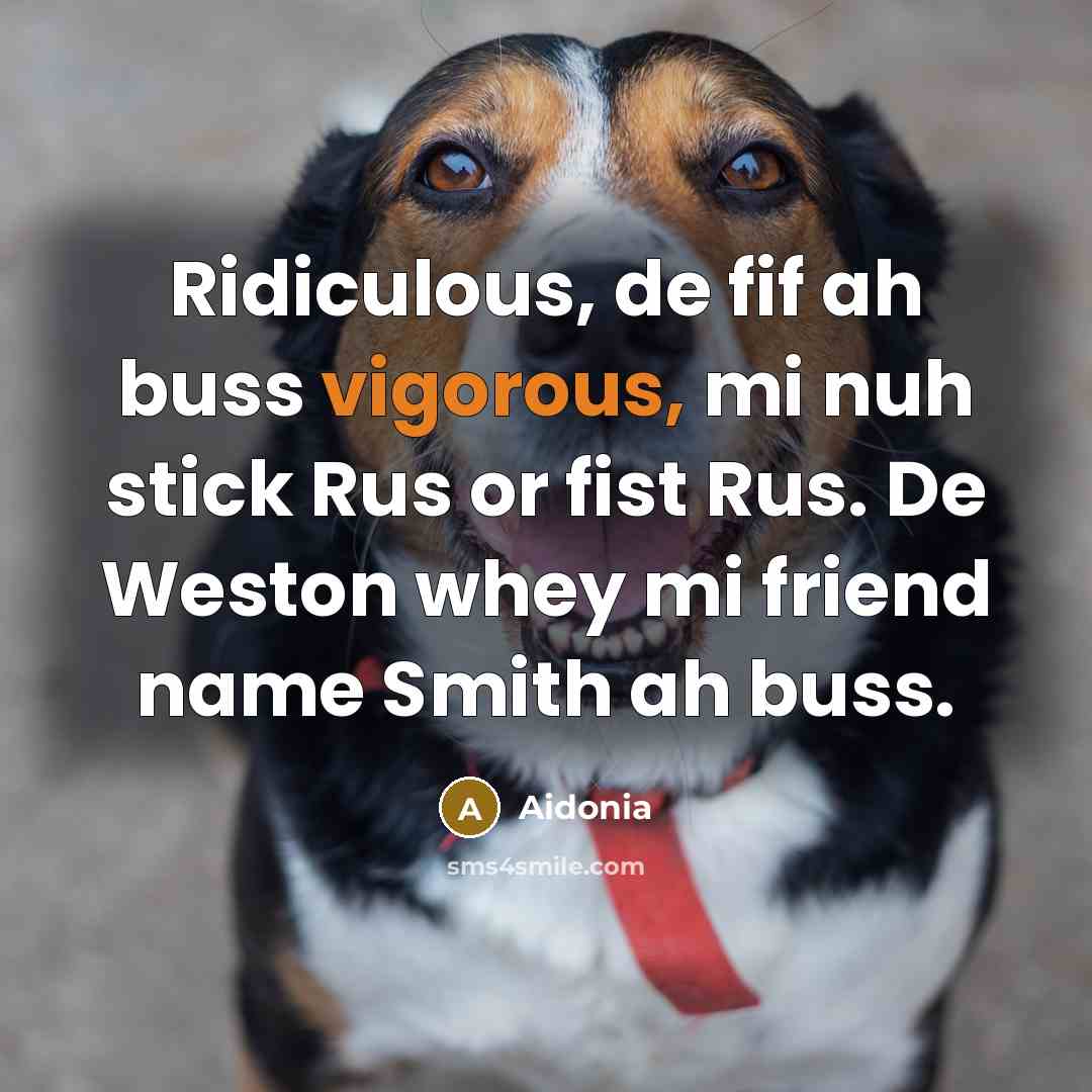 “Ridiculous, de fif ah buss vigorous, mi nuh stick Rus…” quote by Aidonia