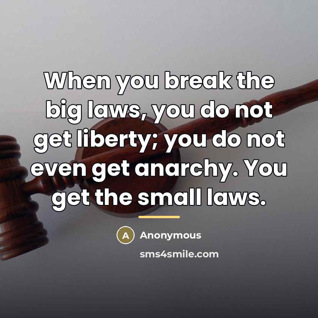 “When you break the big laws, you do not get…” quote by Anonymous