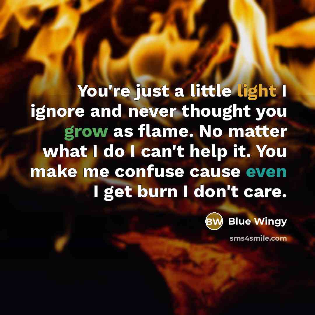 “You're just a little light I ignore and never thought you grow as flame. No matter what I do I can't help it. You make me confuse cause even I get burn I don't care.” quote by Blue Wingy