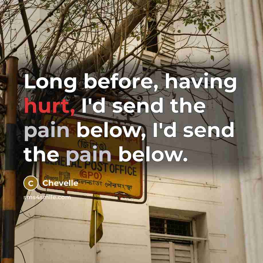 “Long before, having hurt, I'd send the pain below, I'd send the pain below.” quote by Chevelle