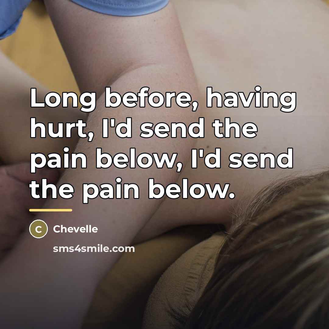 “Long before, having hurt, I'd send the pain below, I'd…” quote by Chevelle