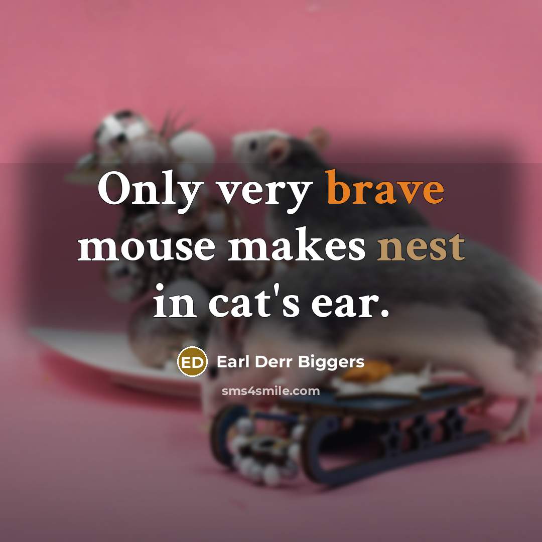 “Only very brave mouse makes nest in cat's ear.…” quote by Earl Derr Biggers