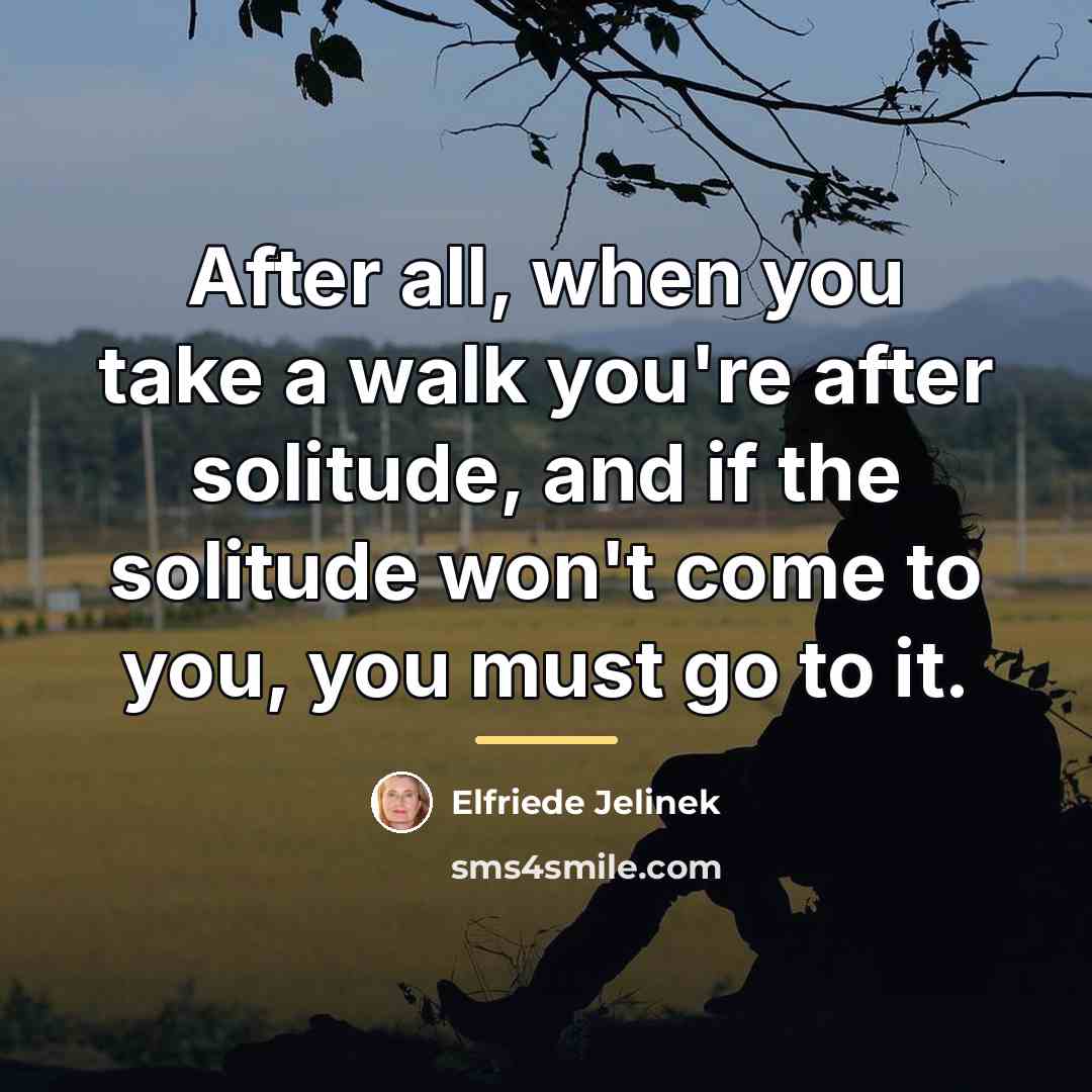 “After all, when you take a walk you're after solitude,…” quote by Elfriede Jelinek