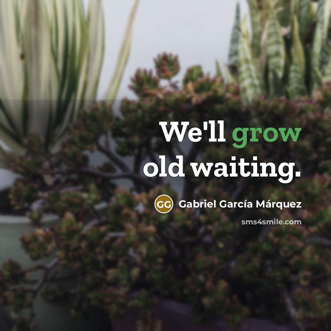 “We'll grow old waiting.…” quote by Gabriel Garcia Marquez