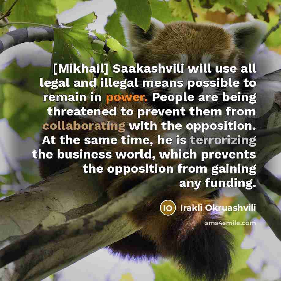“[Mikhail] Saakashvili will use all legal and illegal means possible…” quote by Irakli Okruashvili