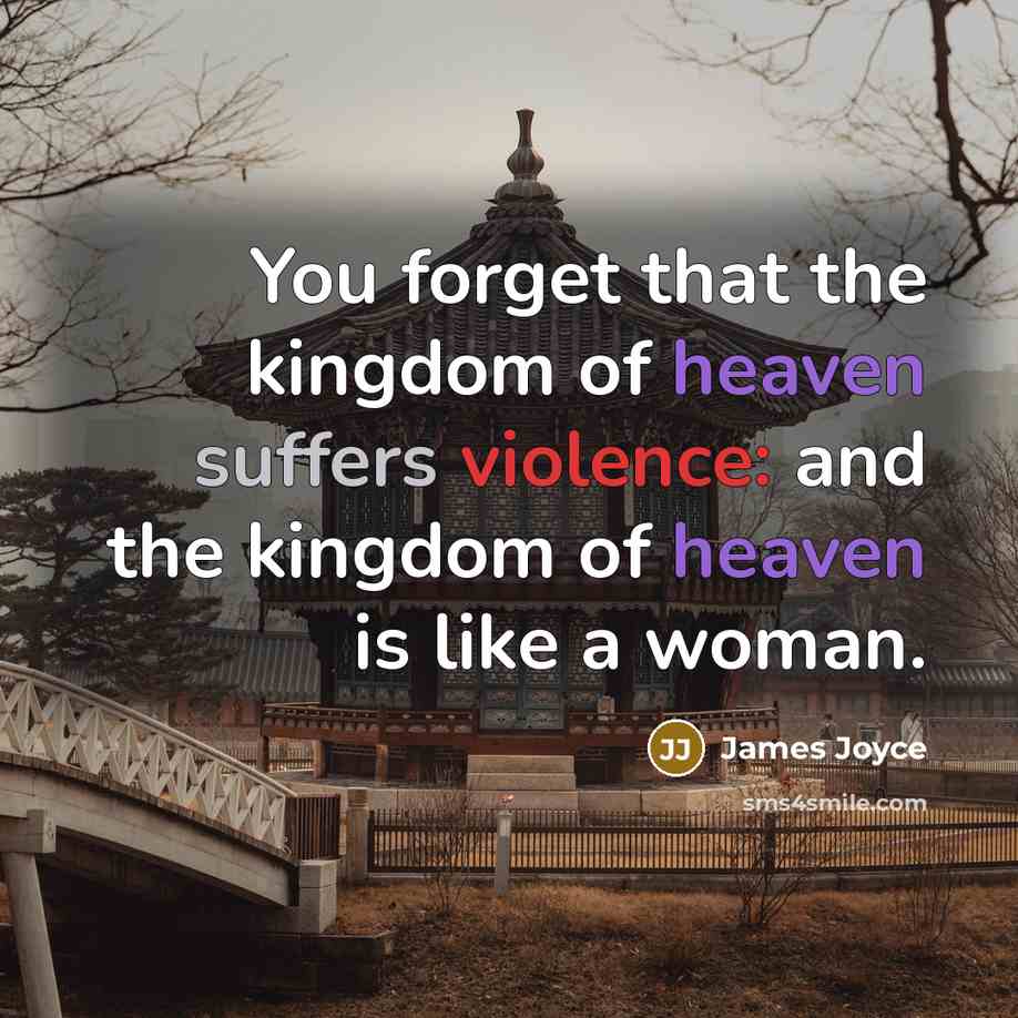 “You forget that the kingdom of heaven suffers violence: and…” quote by James Joyce