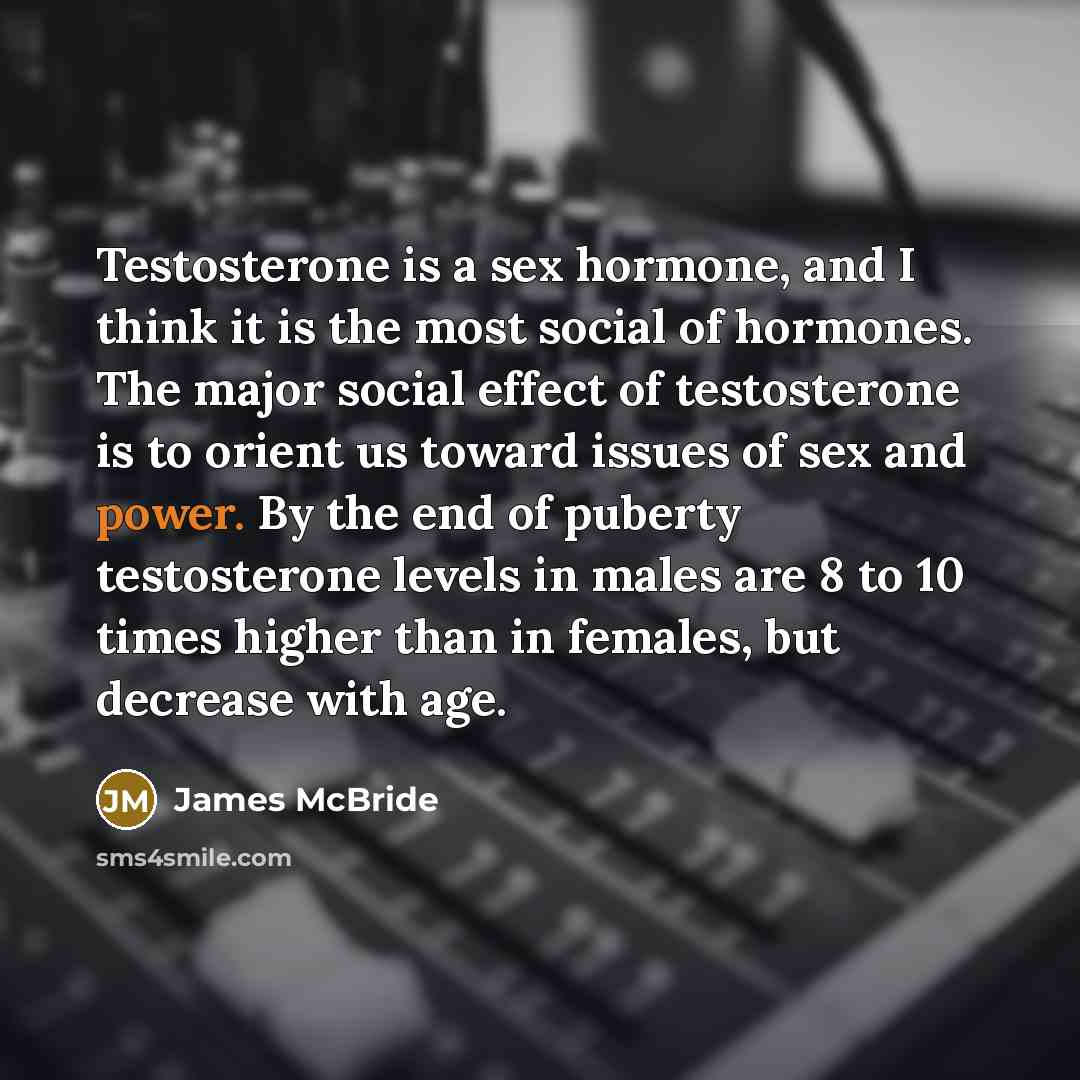 “Testosterone is a sex hormone, and I think it is…” quote by James McBride