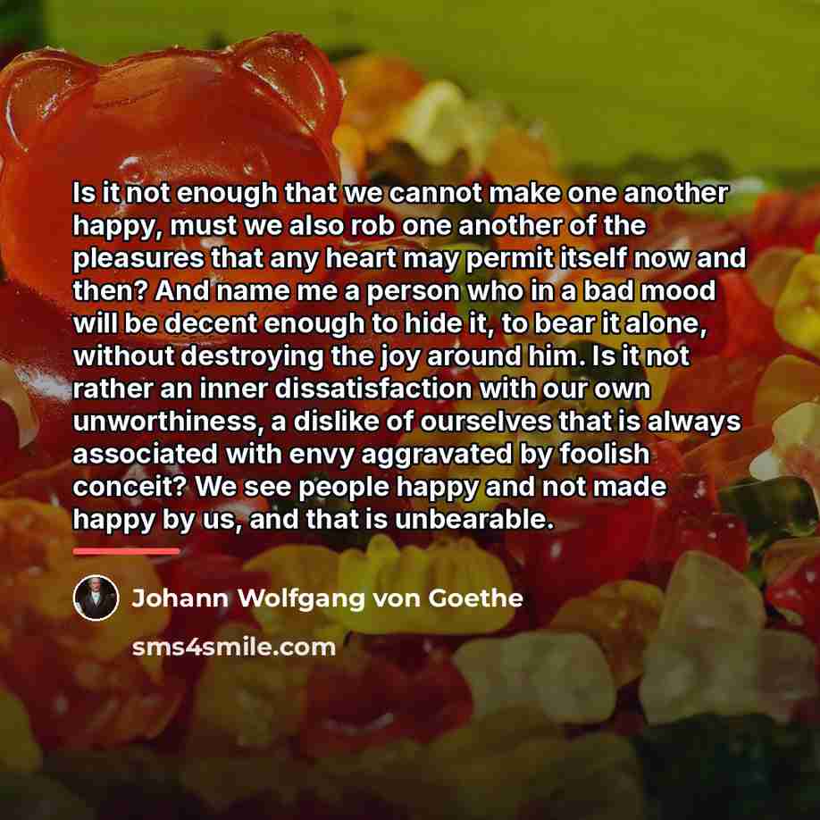 “Is it not enough that we cannot make one another…” quote by Johann Wolfgang von Goethe