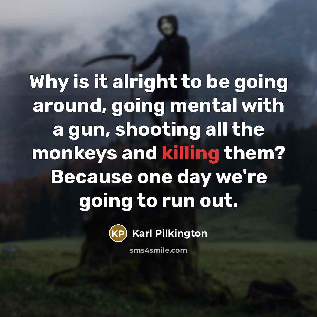 “Why is it alright to be going around, going mental…” quote by Karl Pilkington