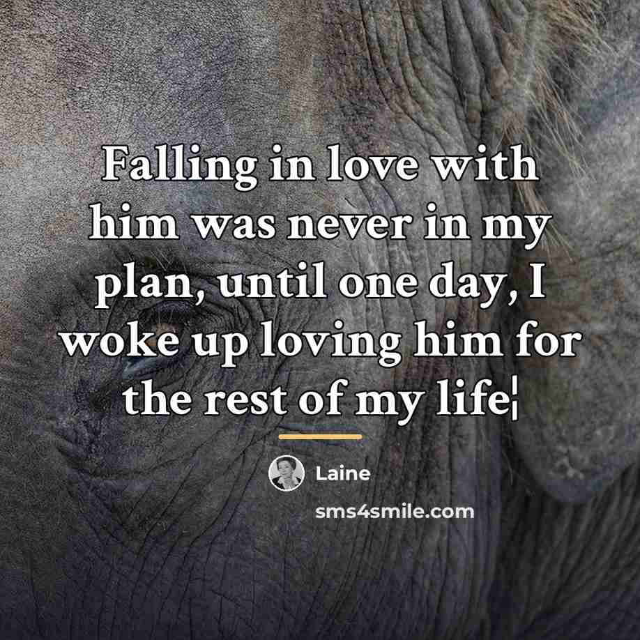 “Falling in love with him was never in my plan,…” quote by Laine