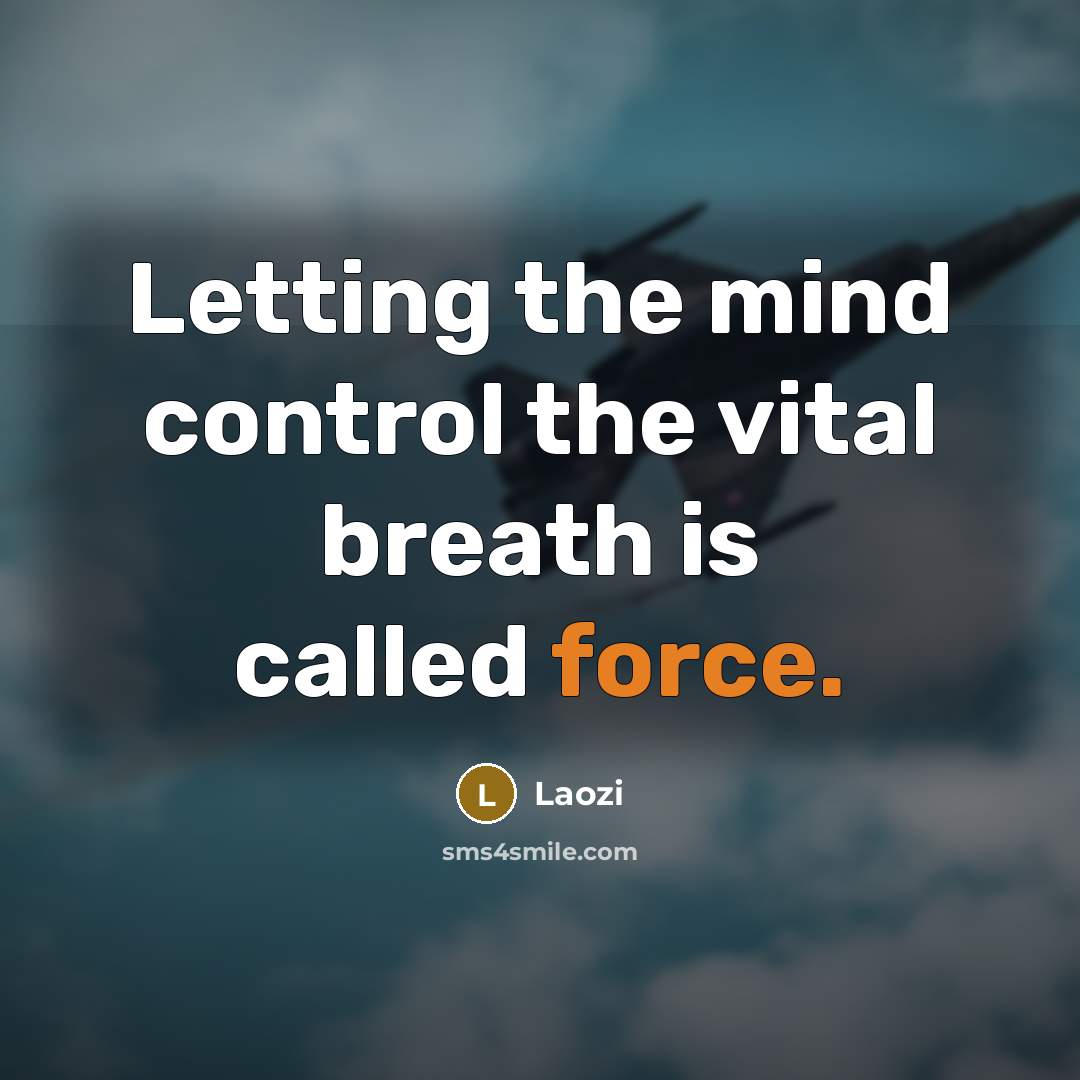 “Letting the mind control the vital breath is called force.…” quote by Laozi