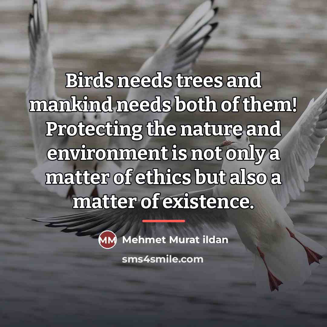 “Birds needs trees and mankind needs both of them! Protecting…” quote by Mehmet Murat Ildan