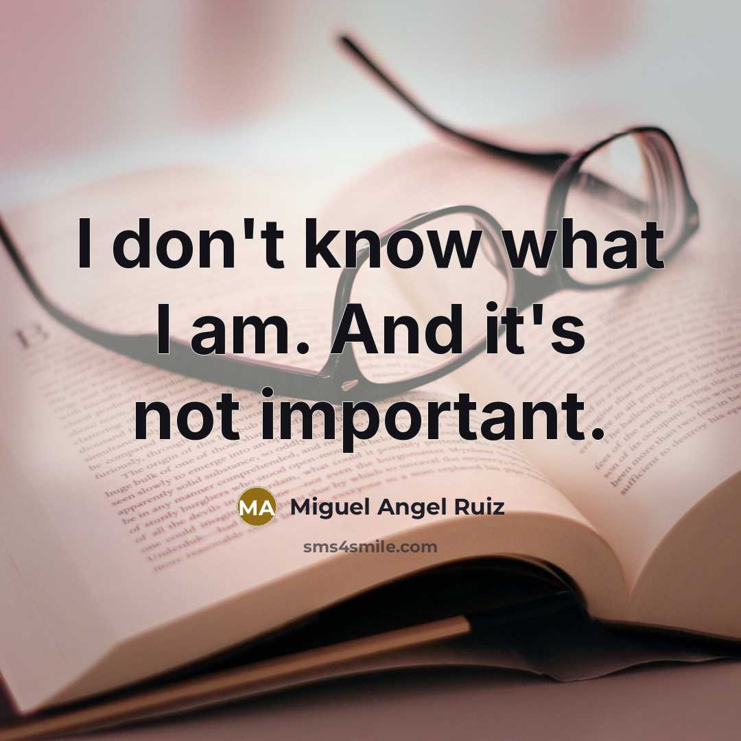 “I don't know what I am. And it's not important.…” quote by Miguel Angel Ruiz