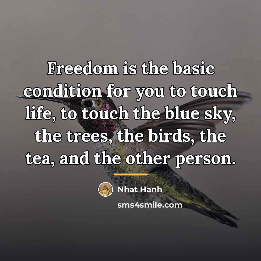 “Freedom is the basic condition for you to touch life,…” quote by Nhat Hanh