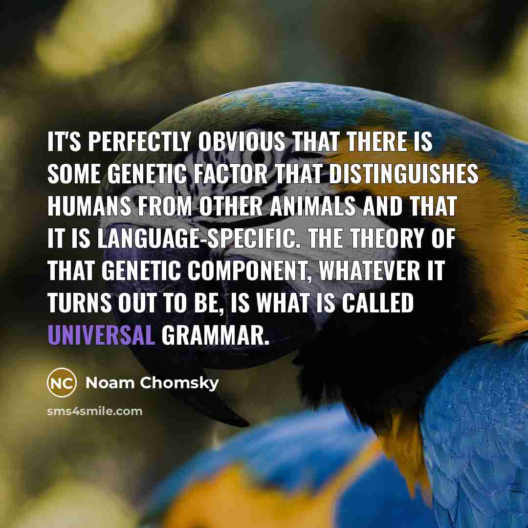 “It's perfectly obvious that there is some genetic factor that…” quote by Noam Chomsky