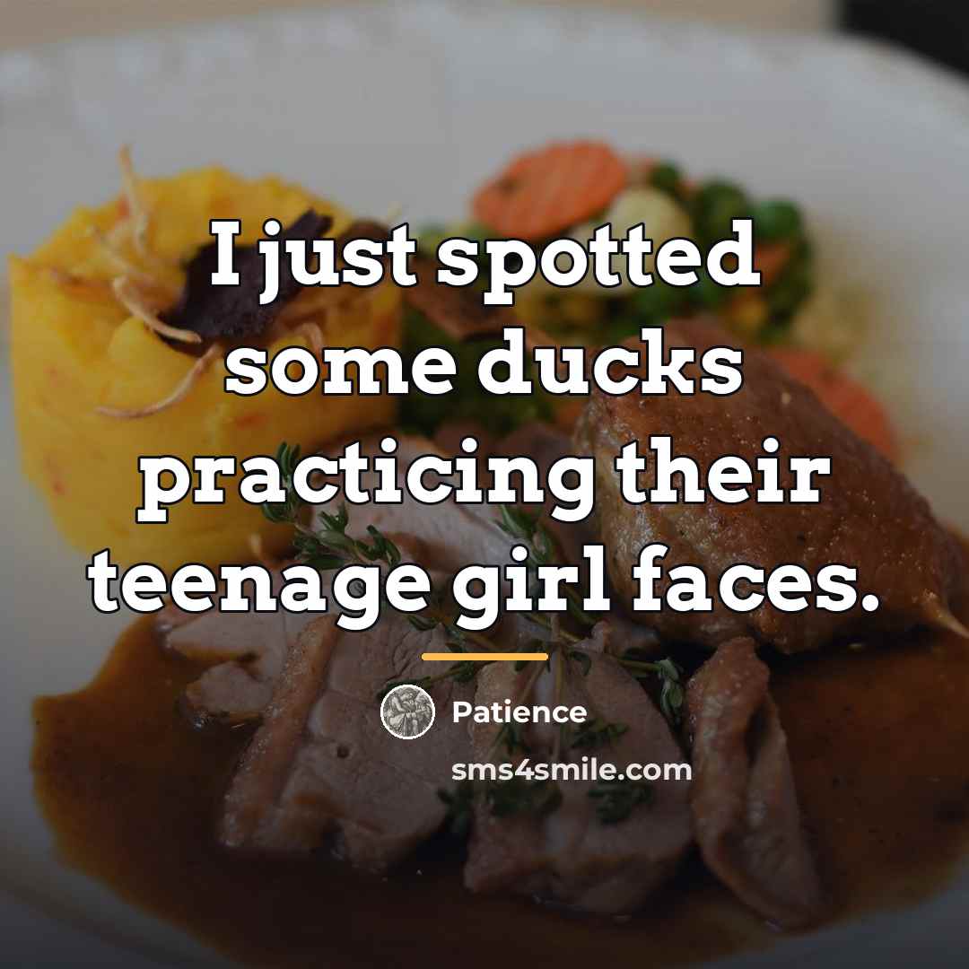 “I just spotted some ducks practicing their teenage girl faces.…” quote by Patience