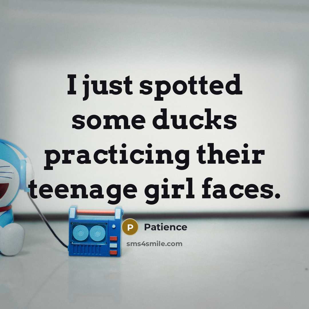 “I just spotted some ducks practicing their teenage girl faces.” quote by Patience