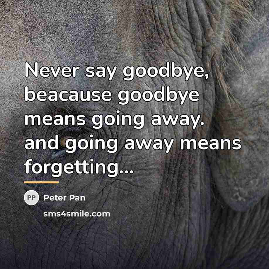 “Never say goodbye, beacause goodbye means going away. and going…” quote by Peter Pan