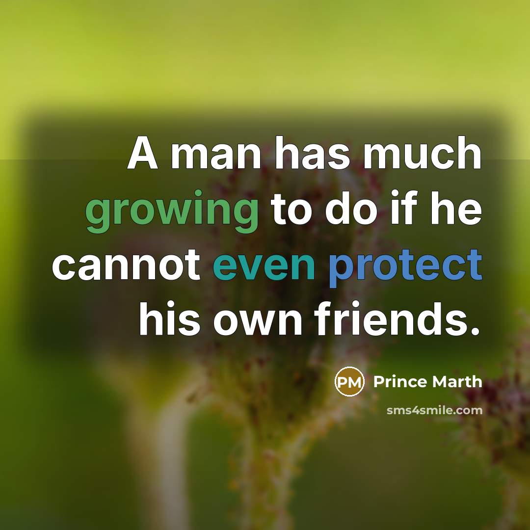 “A man has much growing to do if he cannot even protect his own friends.” quote by Prince Marth
