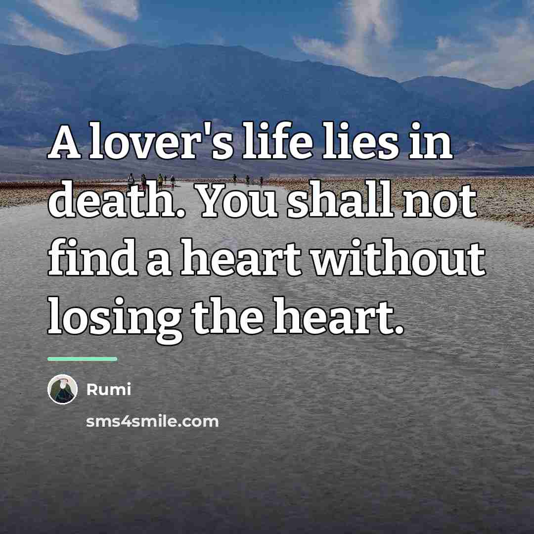 “A lover's life lies in death. You shall not find…” quote by Rumi