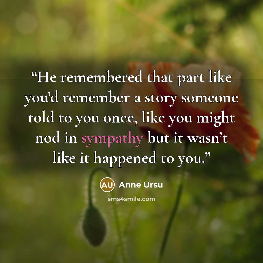 “He remembered that part like you’d remember a story someone told to you once, like you might nod in sympathy but it wasn’t like it happened to you.” quote by Anne Ursu
