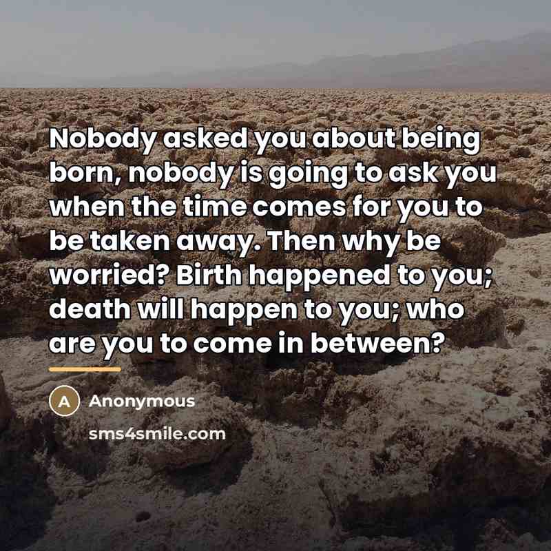 “Nobody asked you about being born, nobody is going to…” quote by Anonymous