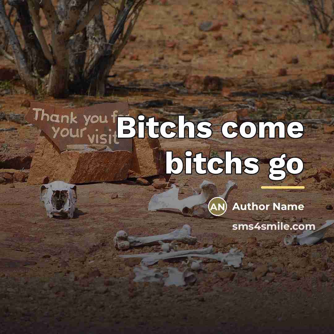 “Bitchs come bitchs go…” quote by Author Name