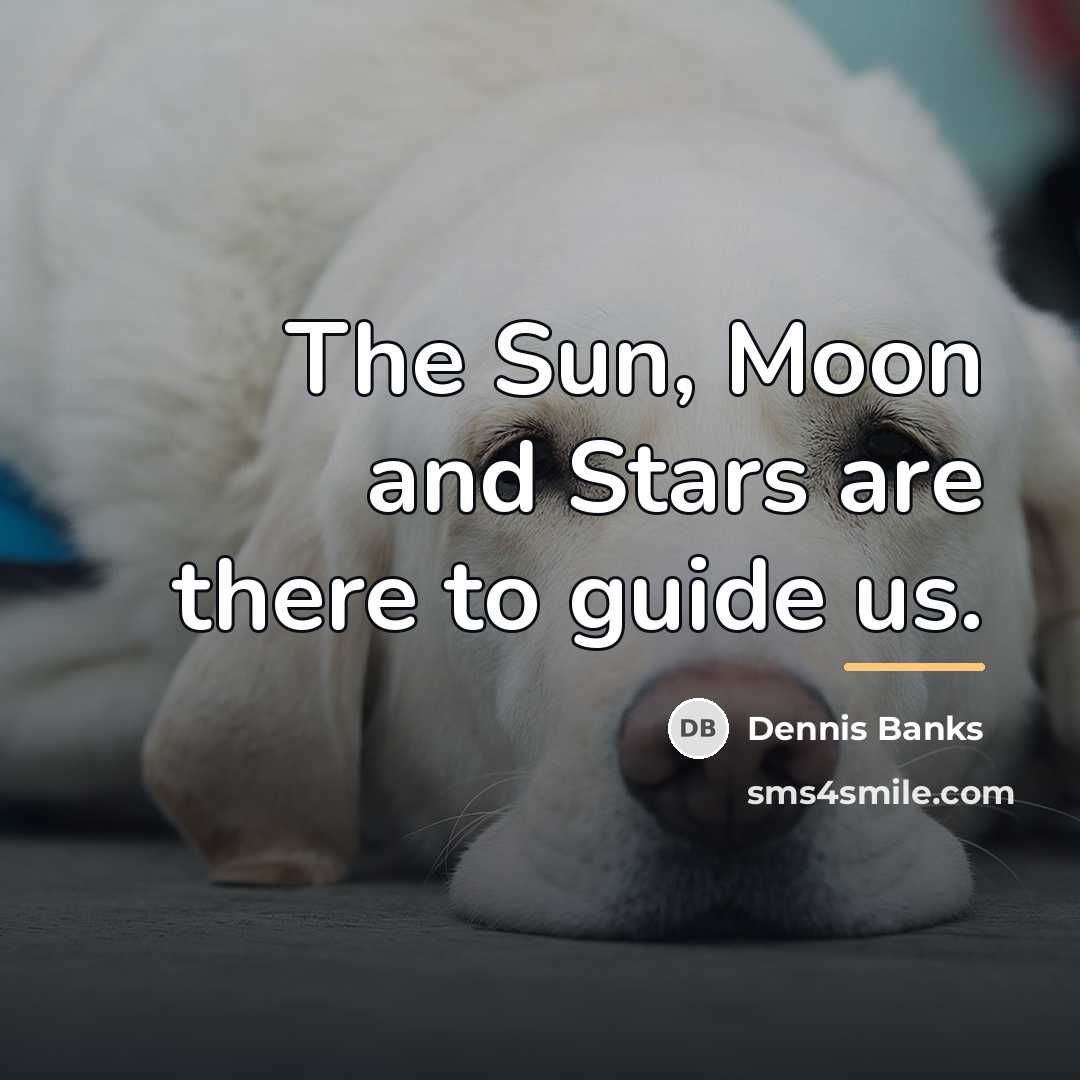 “The Sun, Moon and Stars are there to guide us.…” quote by Dennis Banks