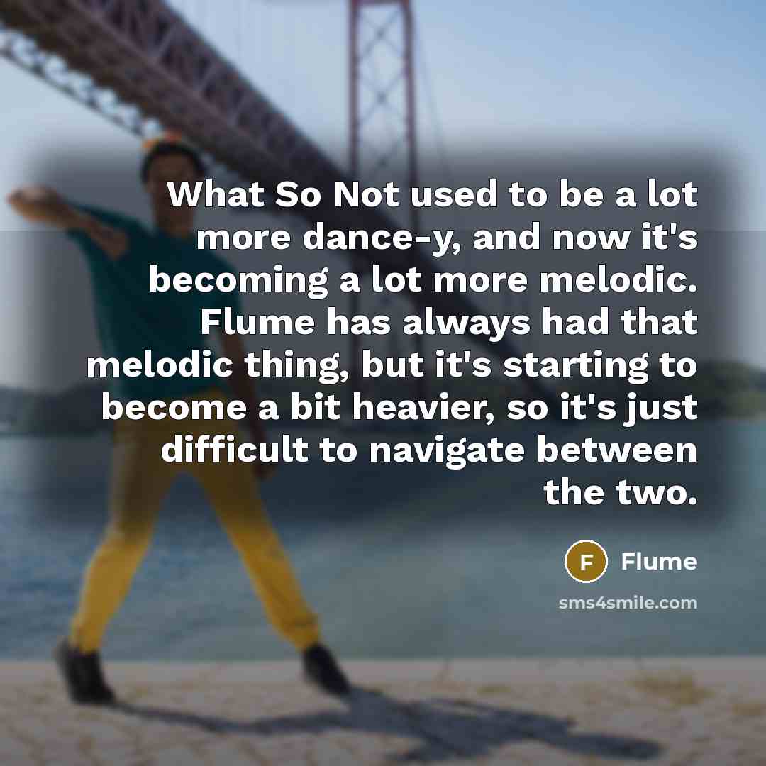 “What So Not used to be a lot more dance-y,…” quote by Flume