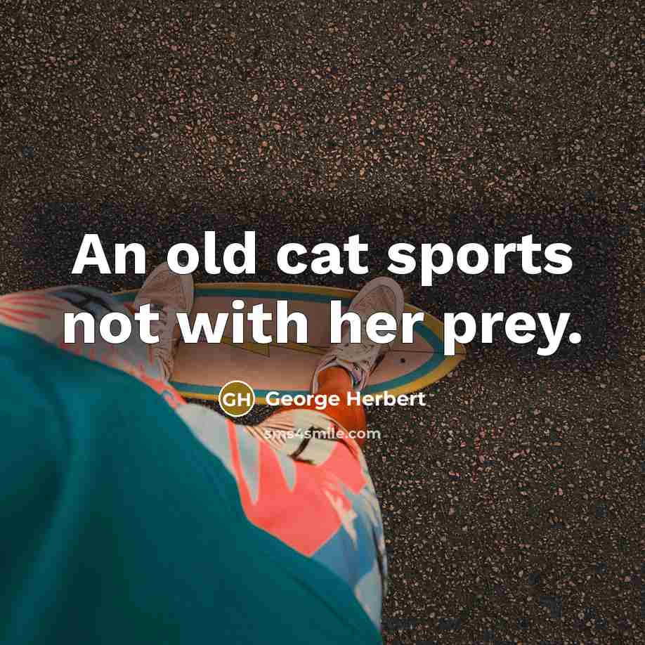 “An old cat sports not with her prey.…” quote by George Herbert