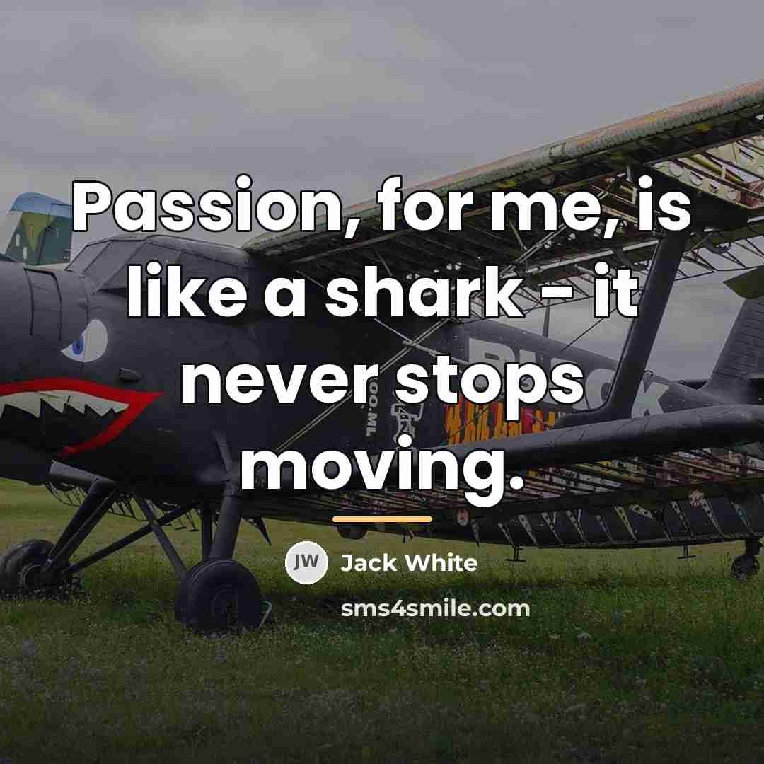 “Passion, for me, is like a shark - it never…” quote by Jack White