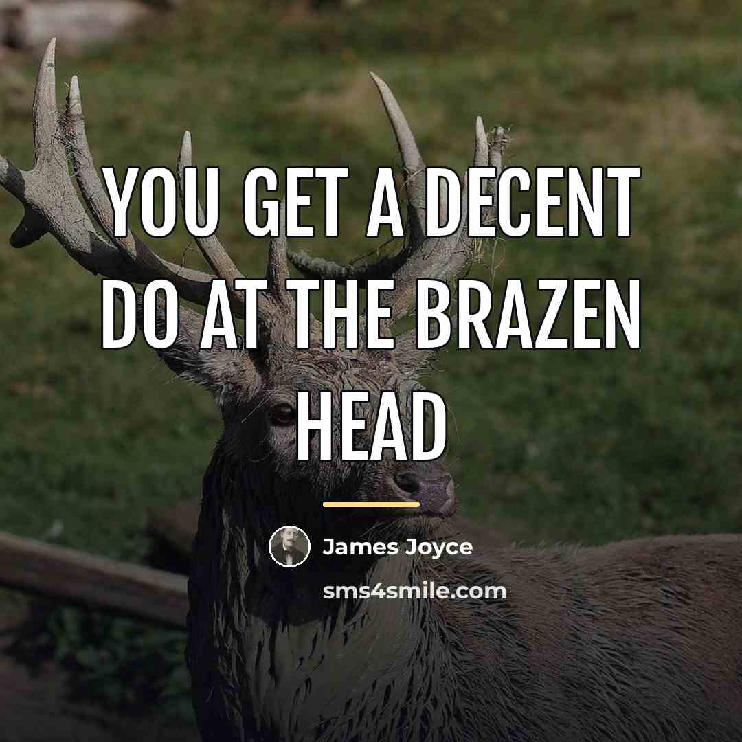 “You get a decent do at the Brazen Head…” quote by James Joyce
