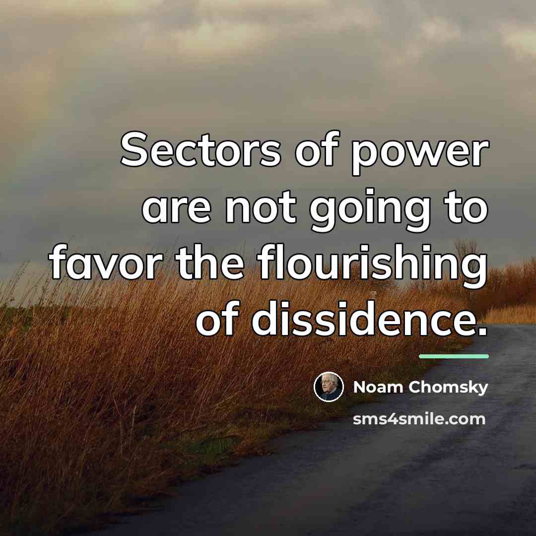 “Sectors of power are not going to favor the flourishing…” quote by Noam Chomsky
