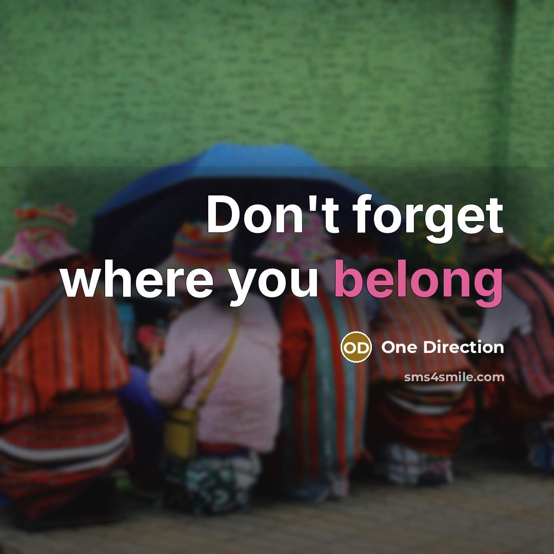 “Don't forget where you belong” quote by One Direction