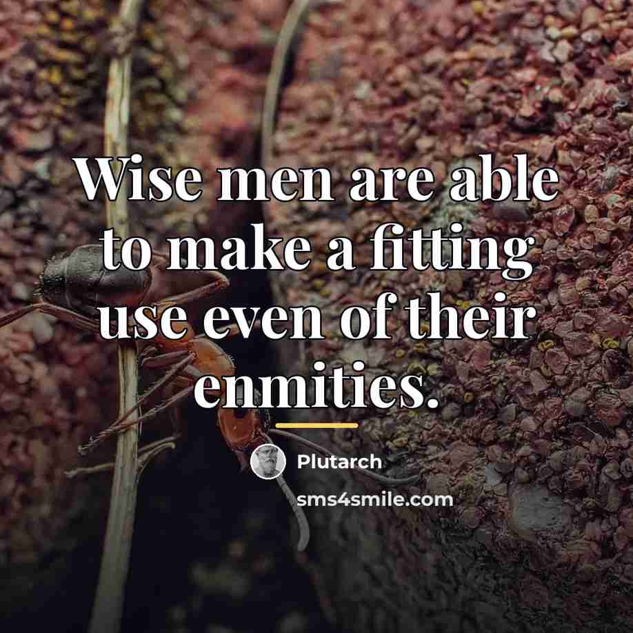“Wise men are able to make a fitting use even…” quote by Plutarch