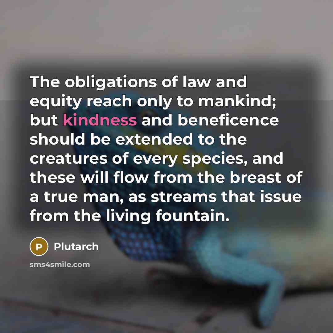 “The obligations of law and equity reach only to mankind;…” quote by Plutarch