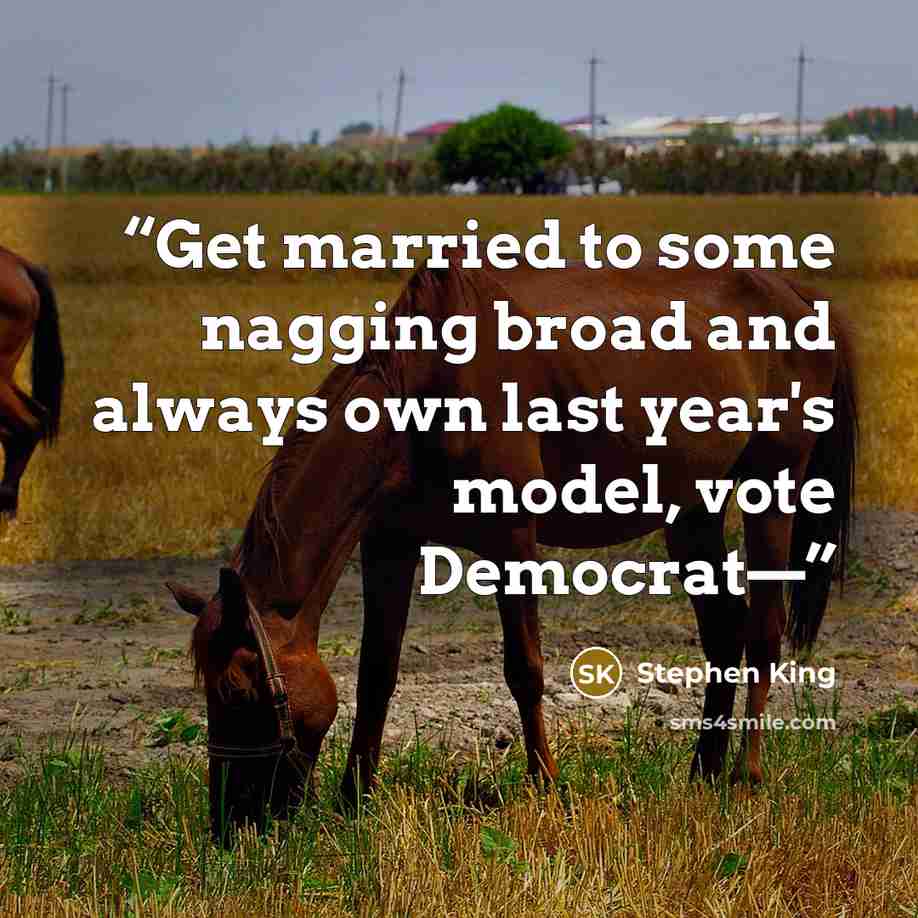 “Get married to some nagging broad and always own last year's model, vote Democrat—” quote by Stephen King