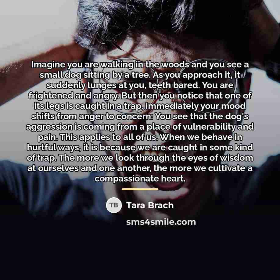 “Imagine you are walking in the woods and you see…” quote by Tara Brach