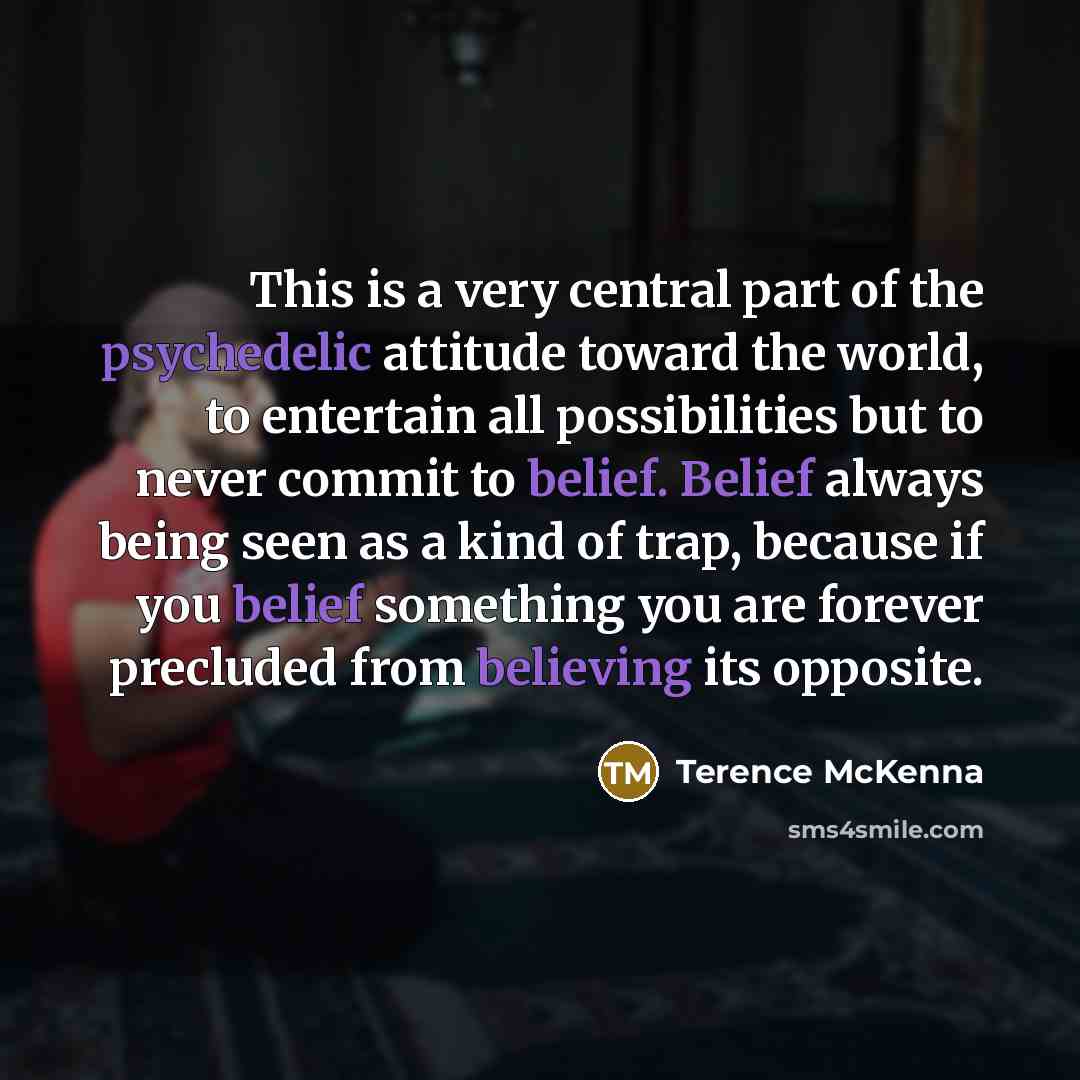 “This is a very central part of the psychedelic attitude…” quote by Terence McKenna