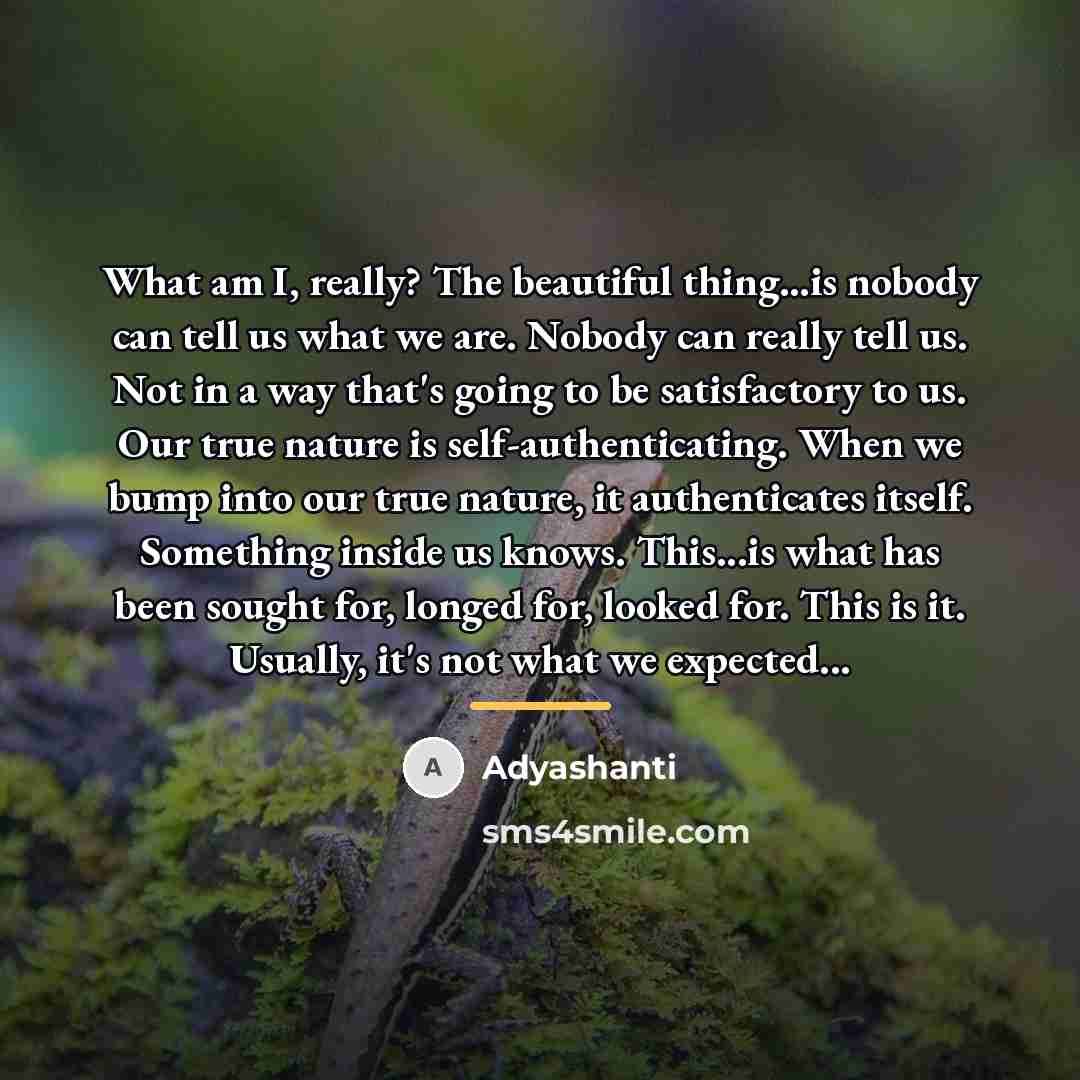 “What am I, really? The beautiful thing...is nobody can tell…” quote by Adyashanti