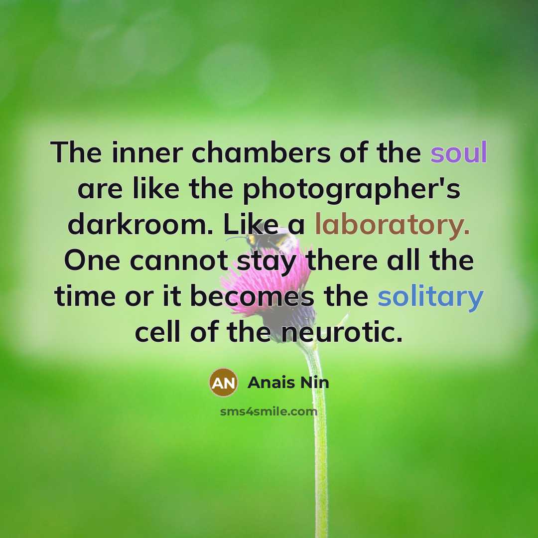 “The inner chambers of the soul are like the photographer's…” quote by Anais Nin