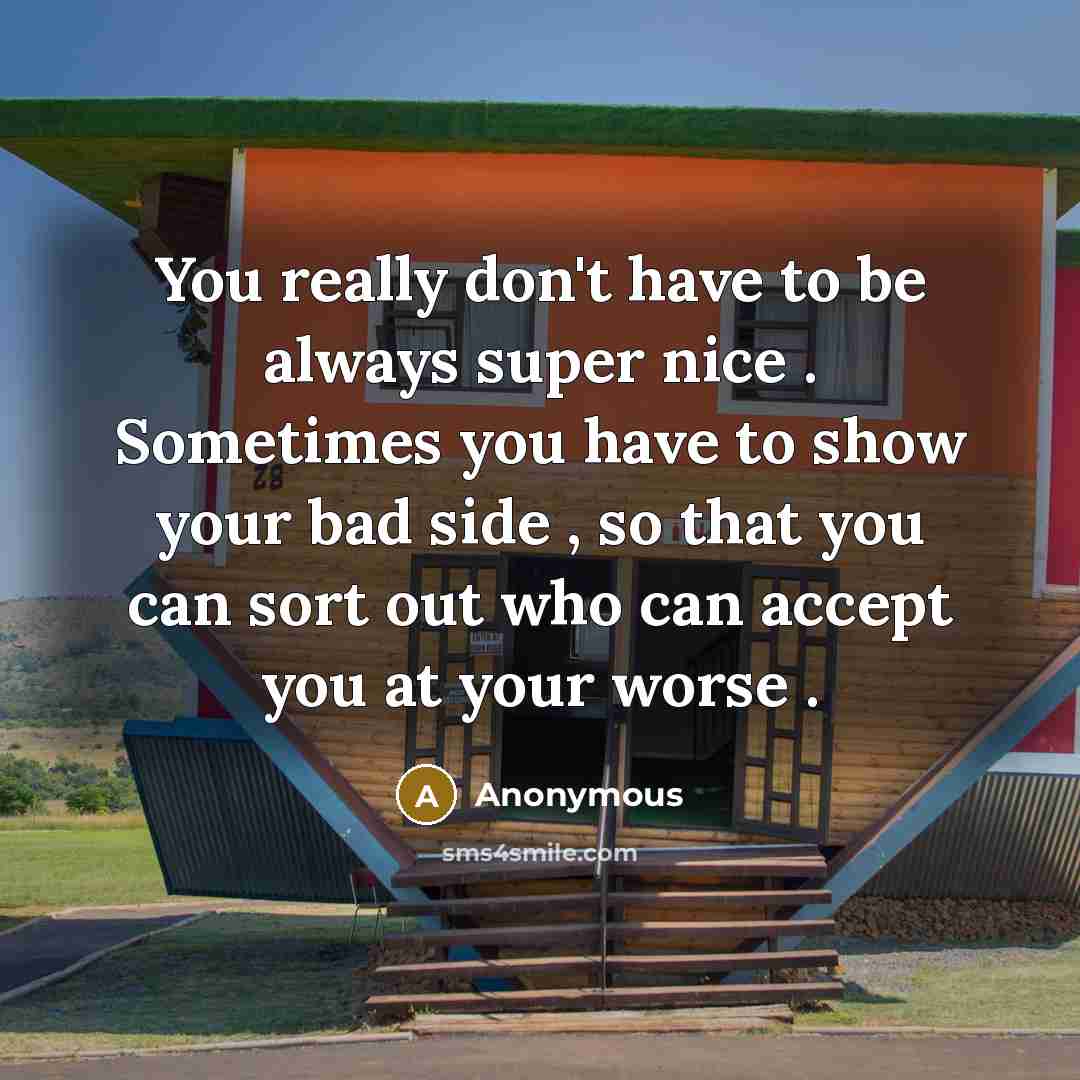 “You really don't have to be always super nice .…” quote by Anonymous